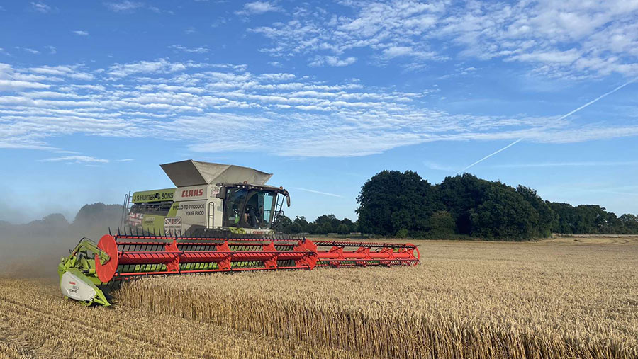 wheat harvest