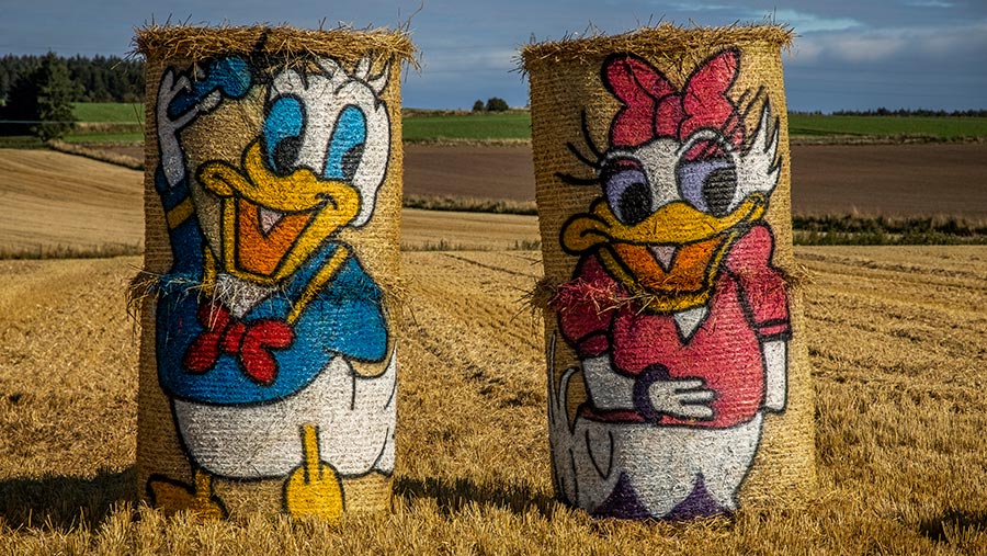 Donald and Daisy Duck bales