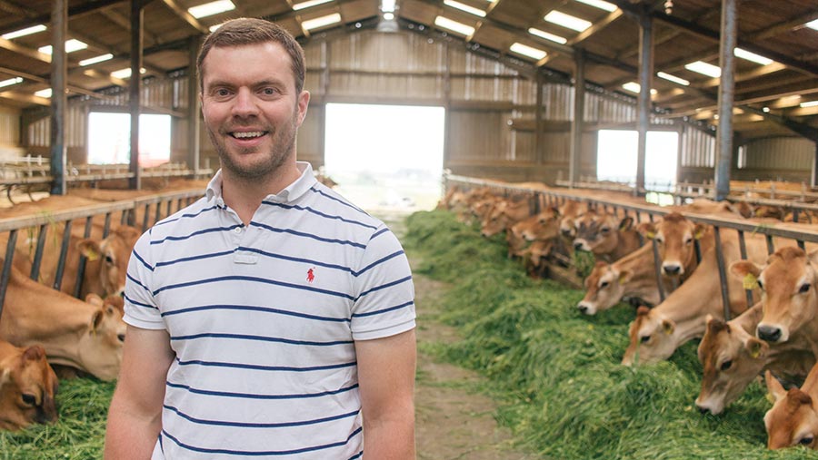 Colin Murdoch in shed with Jersey herd