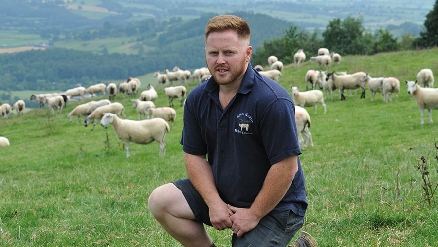 Ryan Morris in field with sheep