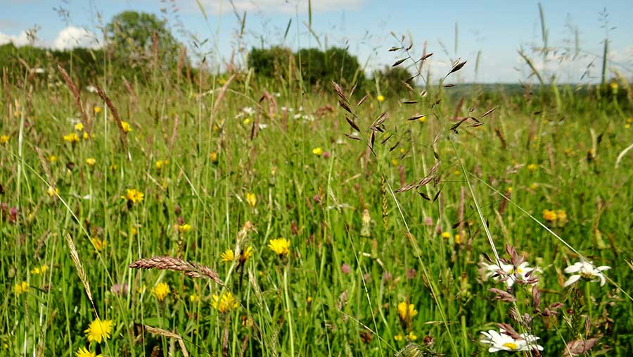 Loss of farmland for nature recovery is a 'huge worry’ - Farmers Weekly