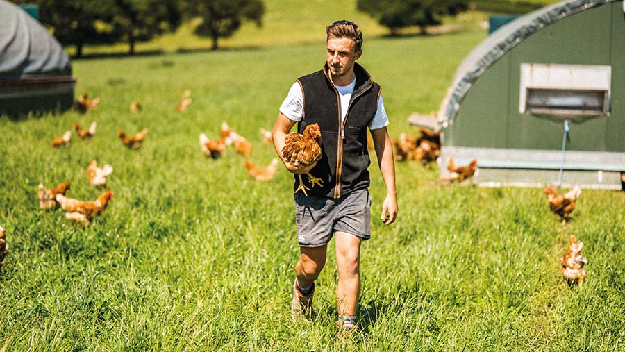 Ben Reynaldo and chickens