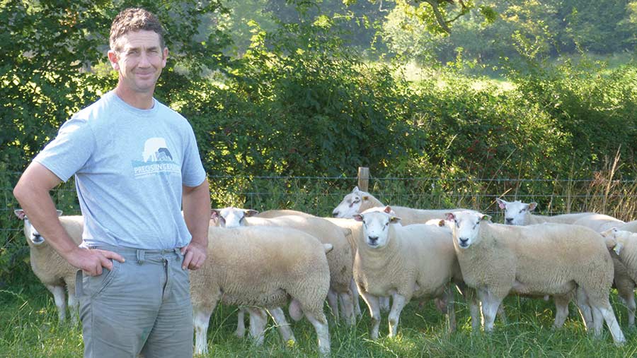 Mike Millar with Bbelclare shearling rams