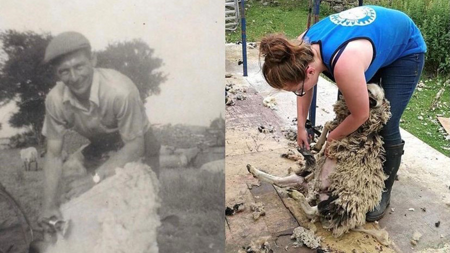 Aberystwyth University student Bethany Harper's great-grandad Ray, when he was a farmworker in 1963 and (right) Bethany working in 2017