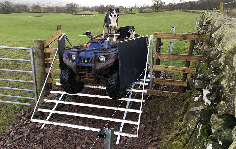 Ramp over livestock gate