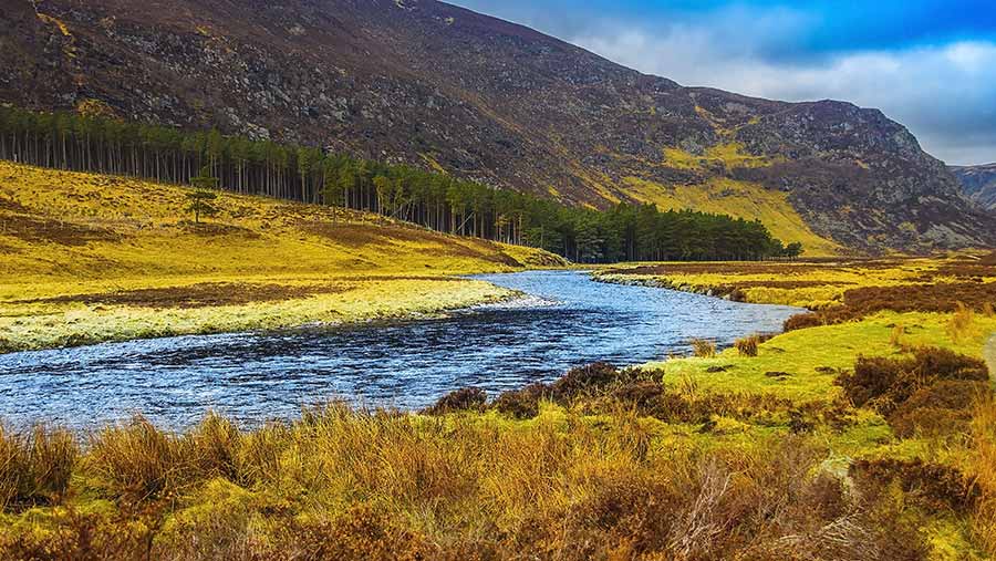 One of the first projects will restore peatland in the Cairngorms National Park © Adobe Stock