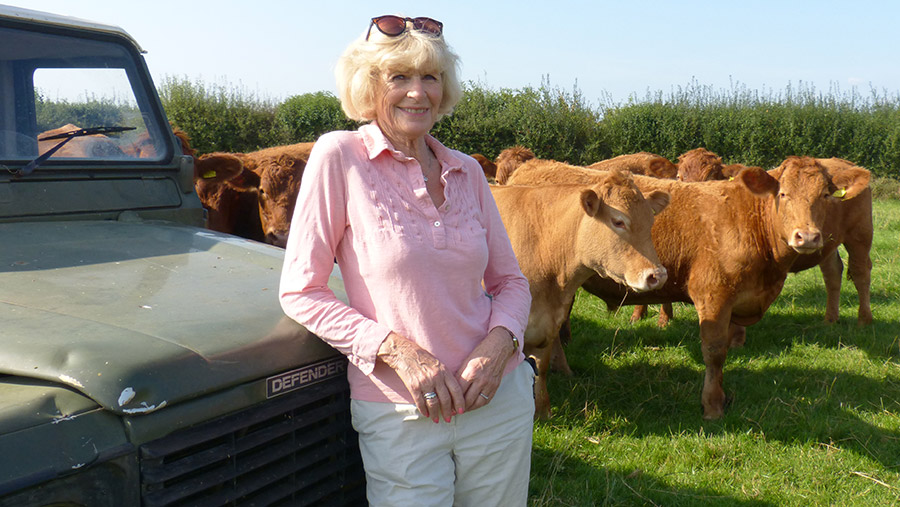 Charlotte Davis in field with jeep and cows