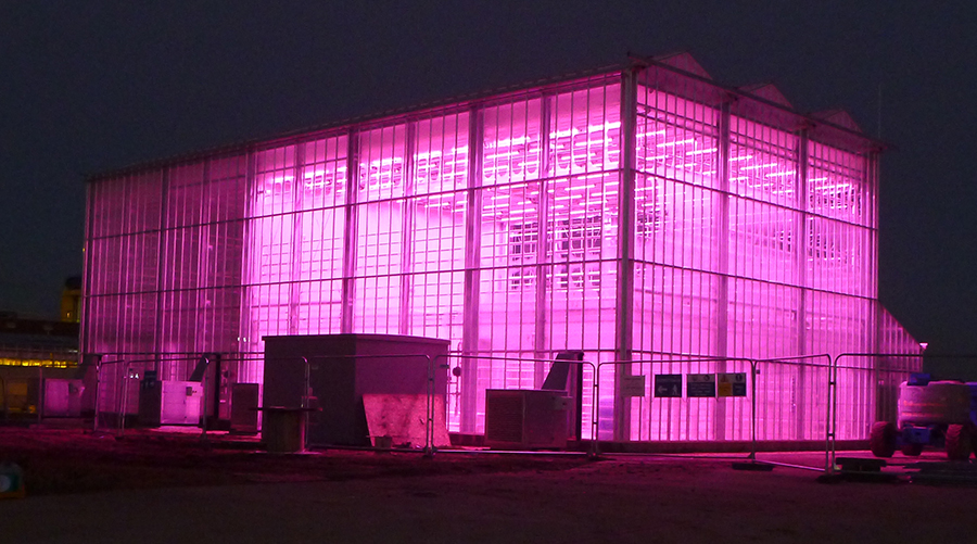 External glass house at night