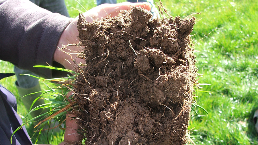 Top tips on regenerative farming at Midlands Machinery Show - Vimarsana News