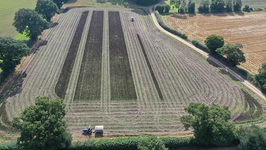 Aerial view of trial plot