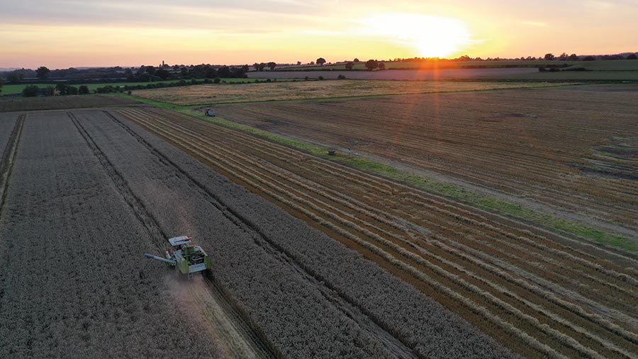 Field at sunset