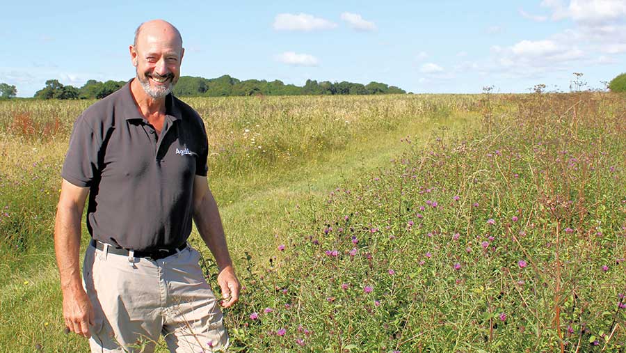 Farmer stands in a field margin