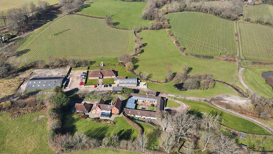 Aerial view of vineyard