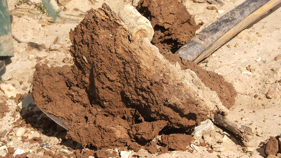 Dug soil