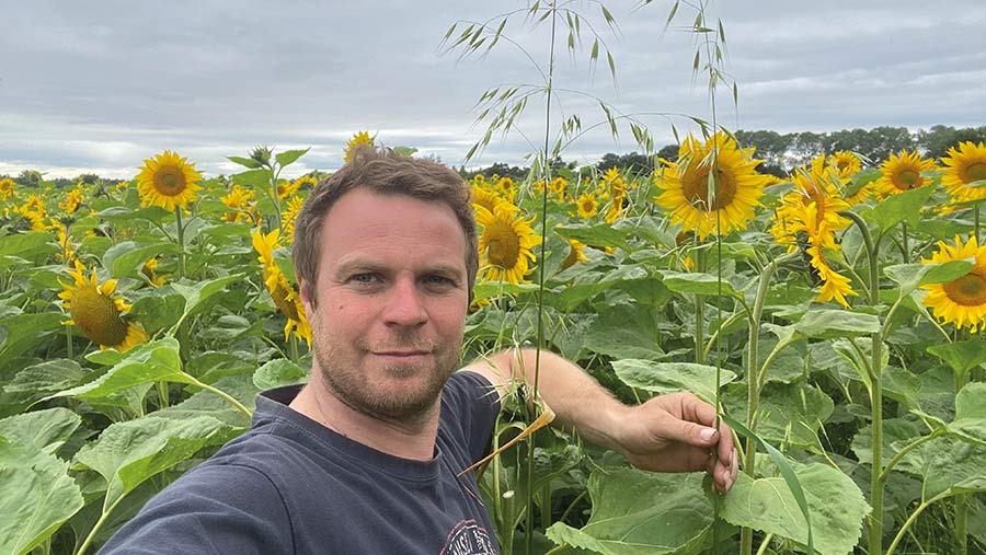 Olly Harrison in field of sunflowers