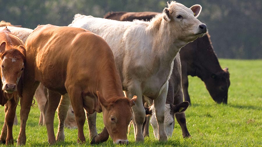 Evidence against red meat does not stack up, says scientist - Farmers Weekly