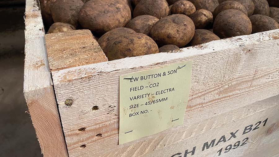 Box with potatoes ready for store