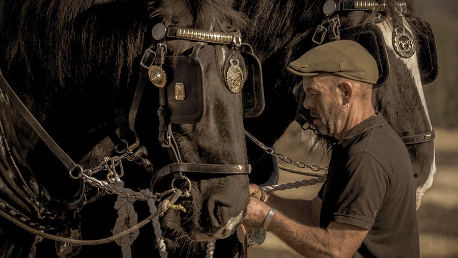 Checking the reins