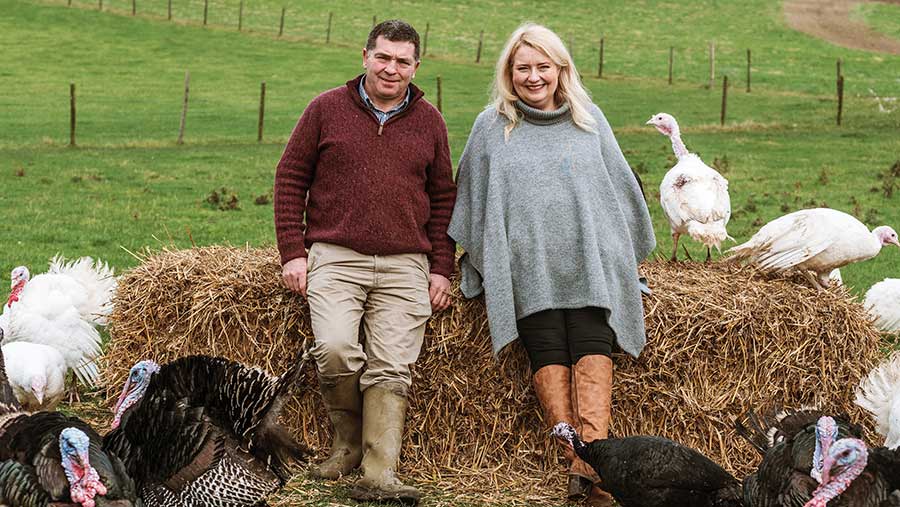 Simon and Alex Bridger sitting on bales with turkeys in background