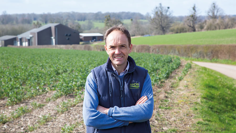 Rob Waterston in field