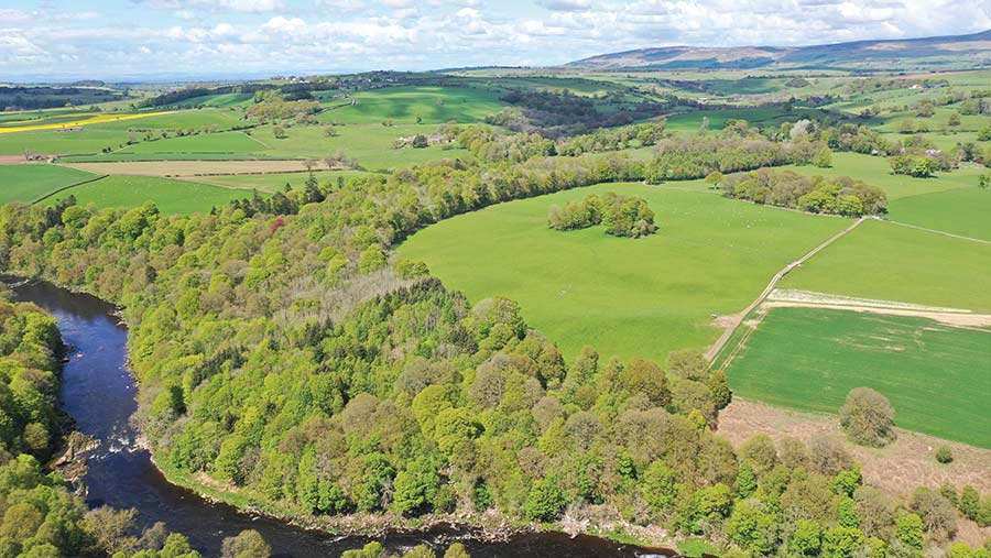 Aerial view of woodland and fields