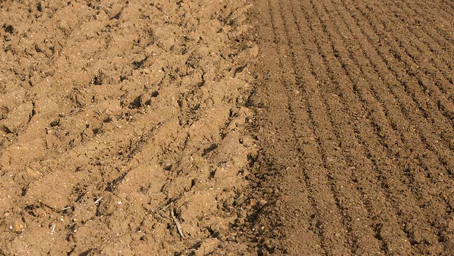 There is no standard yet for measuring or pricing soil carbon © Tim Scrivener