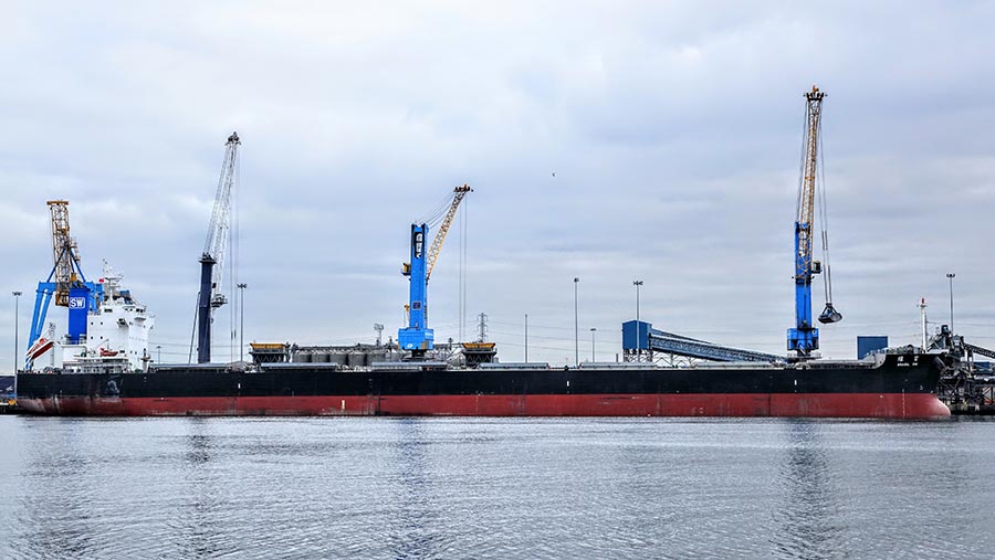 GrainCo parent Tynegrain can load vessels of up to 66,000t from its deep water facility at the Port of Tyne

© GrainCo