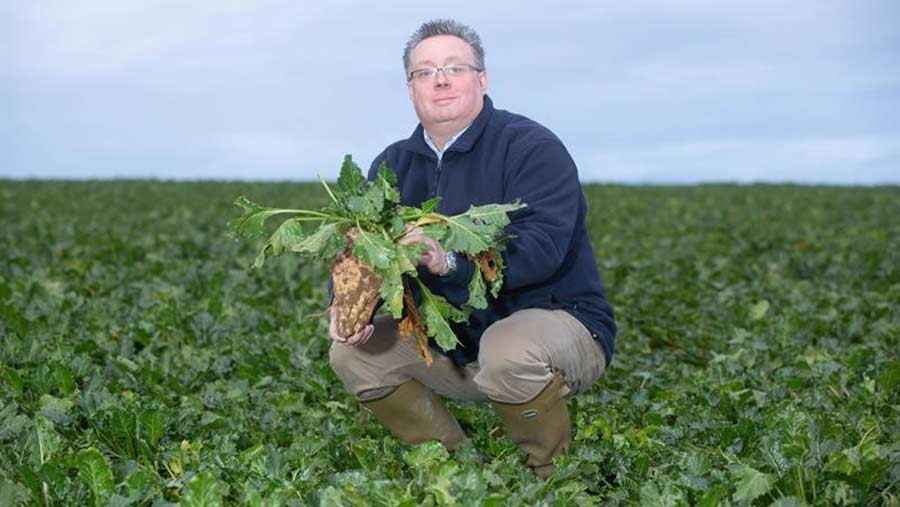 Michael Sly in a field of beet