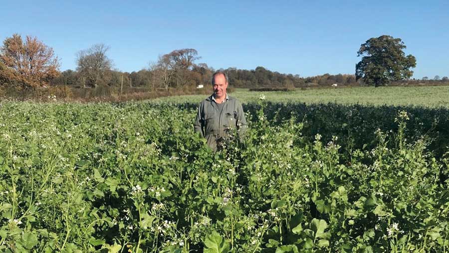 Neil Chester and winning cover crop