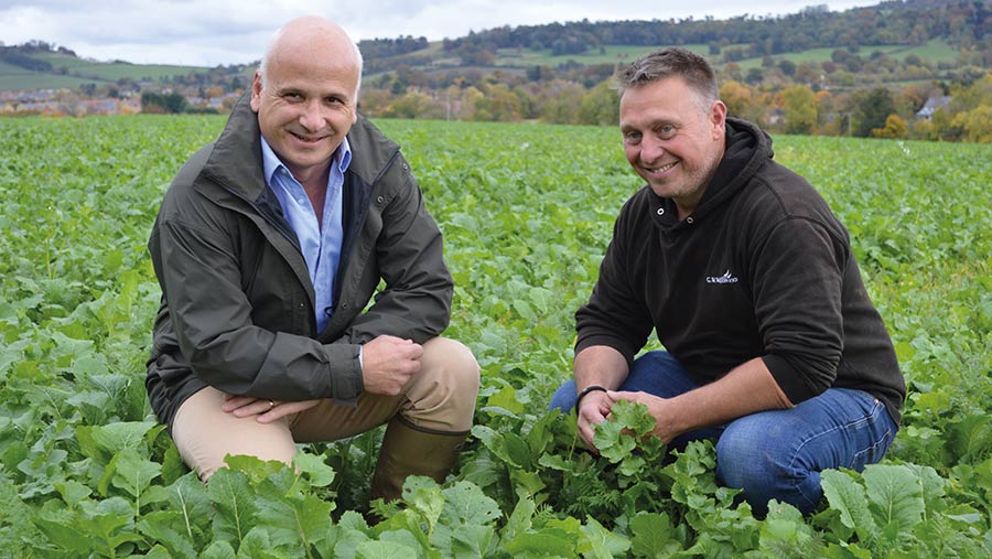 Paul Pickford (left) and Paul Wilson in the cover crop