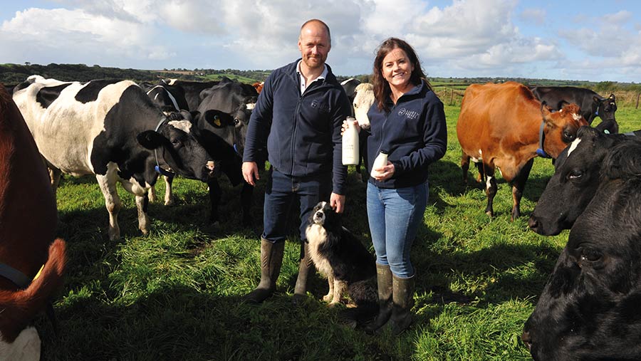 Roger James and Angharad Edwards in field with herd, dog and milk
