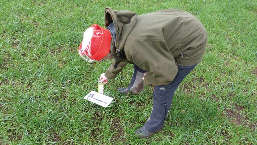 Checking grass with a sward stick