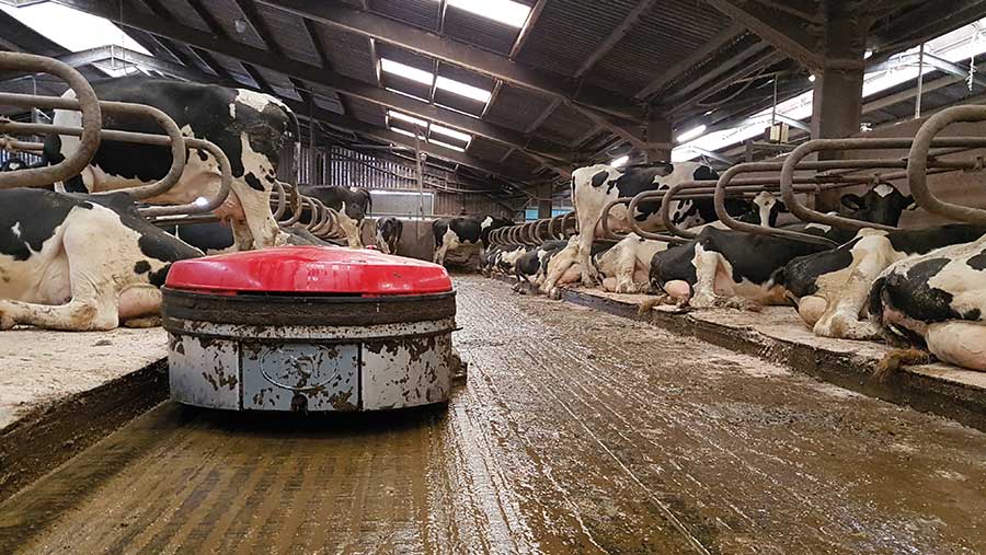 Lely slurry robot © the Nicholsons