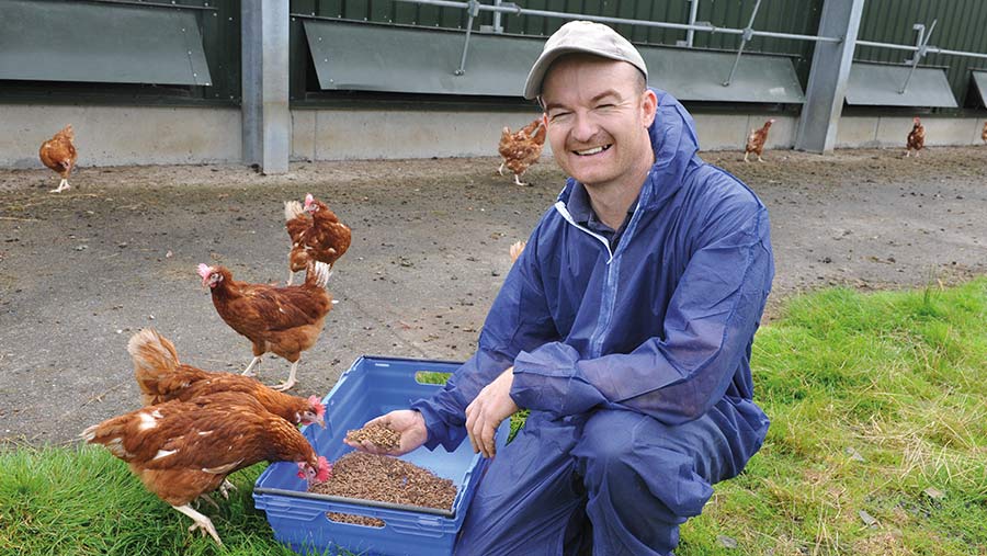 Osian Williams is aiming to increase the volume of larvae as a percentage of his hens’ diet © Debbie James