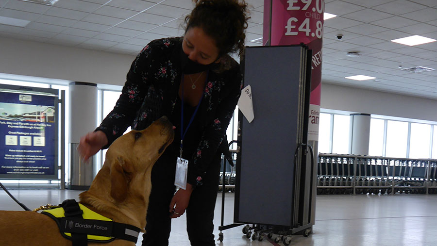 Woman looks down at a retriever-type dog