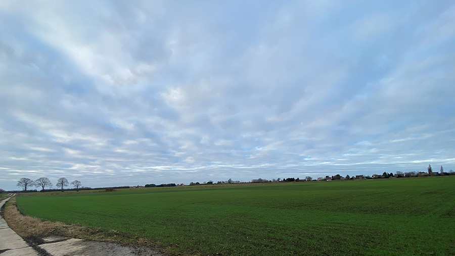 Throckenholt Farm