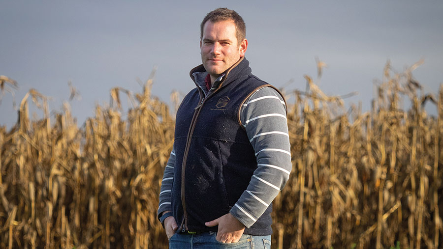 Tom Hallett in cover crops field