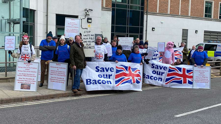 Pig demonstrators in York