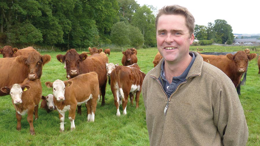 Rob Wilson in field with cows