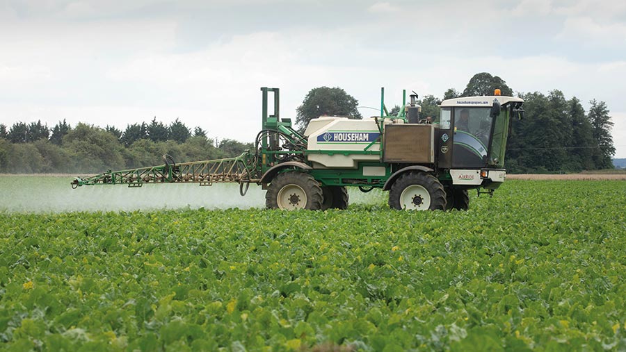 Sprayer in sugar beet field