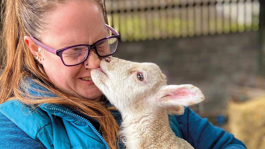 Lamb sucking on women's nose