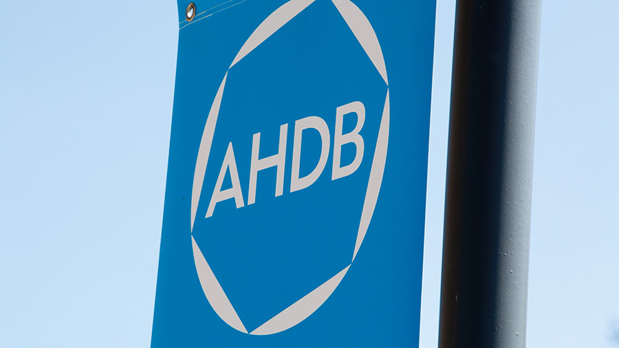 Farmers consulted over higher AHDB higher levies from 2024