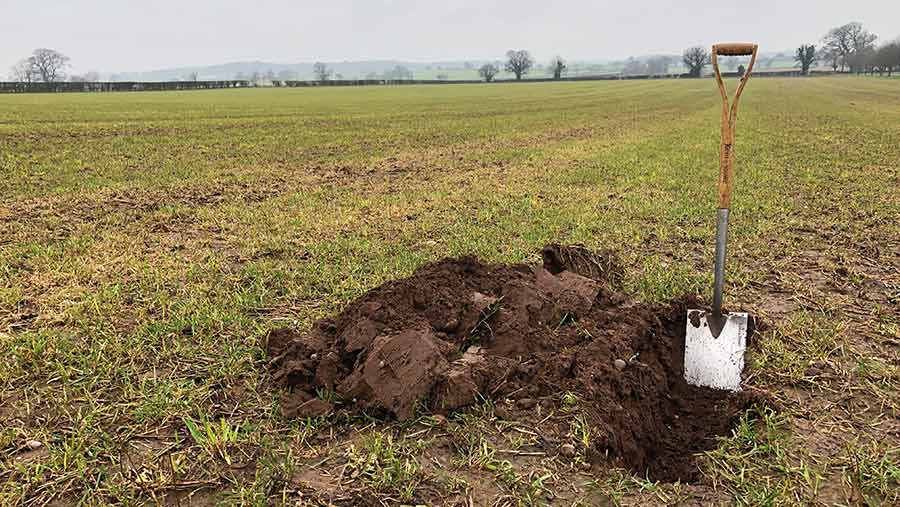 field with spade