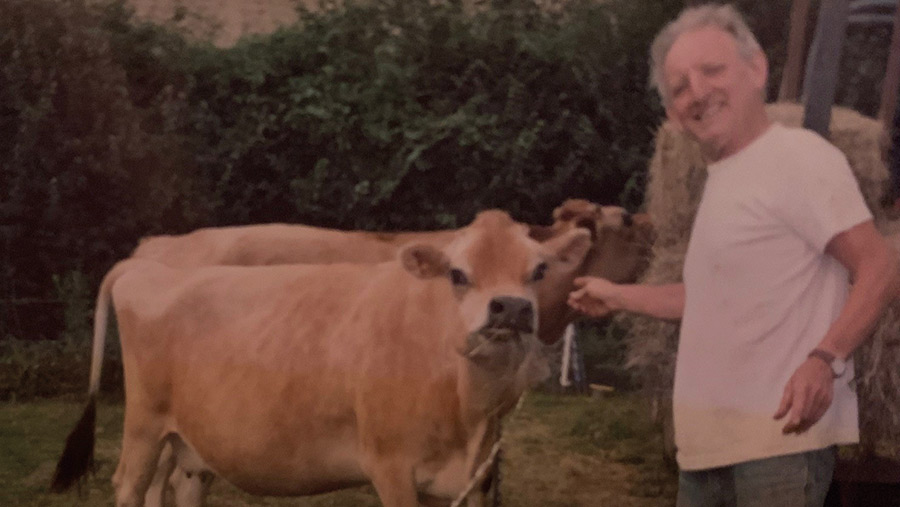 Kingsley Ward with his Jersey cows
