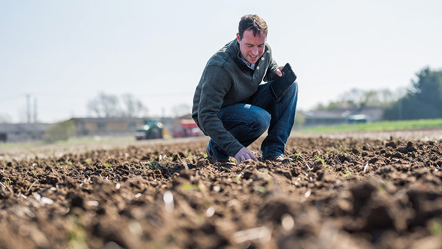 Richard Ling in field