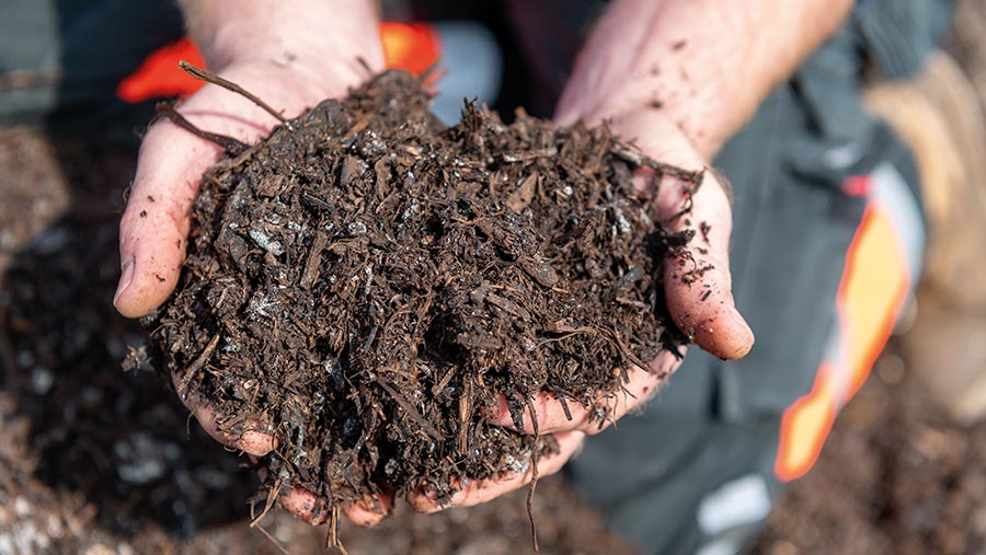 Hands holding compost