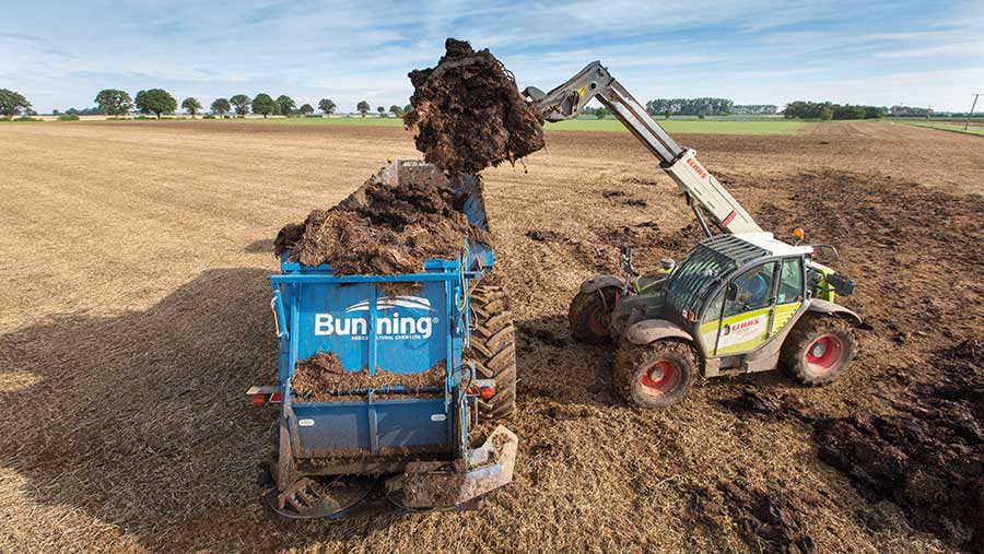 spreading cattle manure