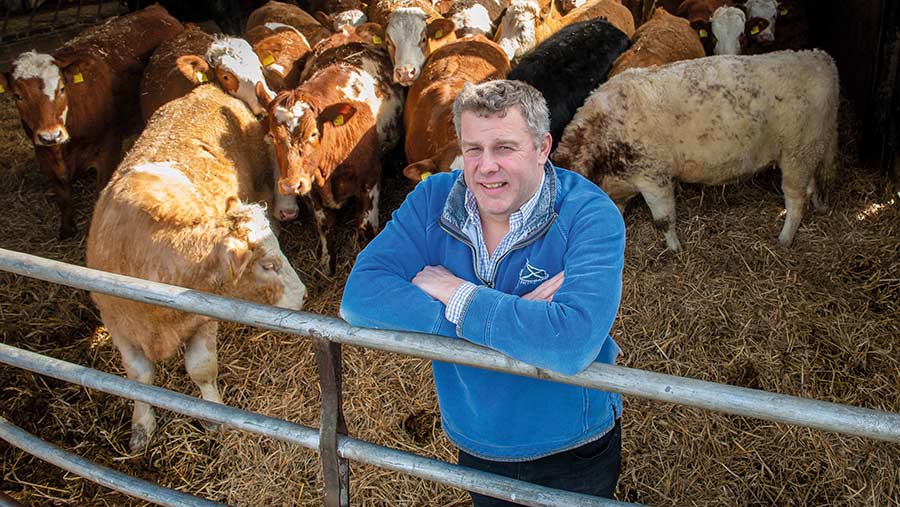 Farm manager Adrian Ivory in pen with cows