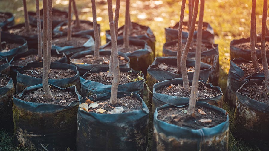 © Goami/Adobe Stock