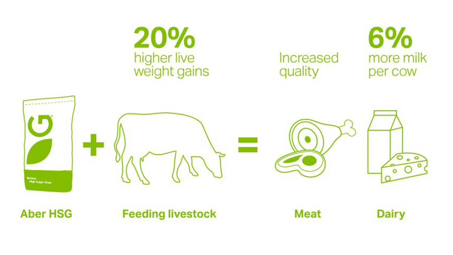 ABER Better Livestock Graphic
